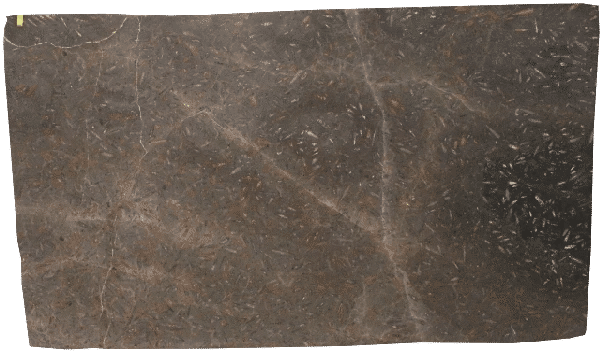 2-3cm Jurassic Brown Marmor Platten