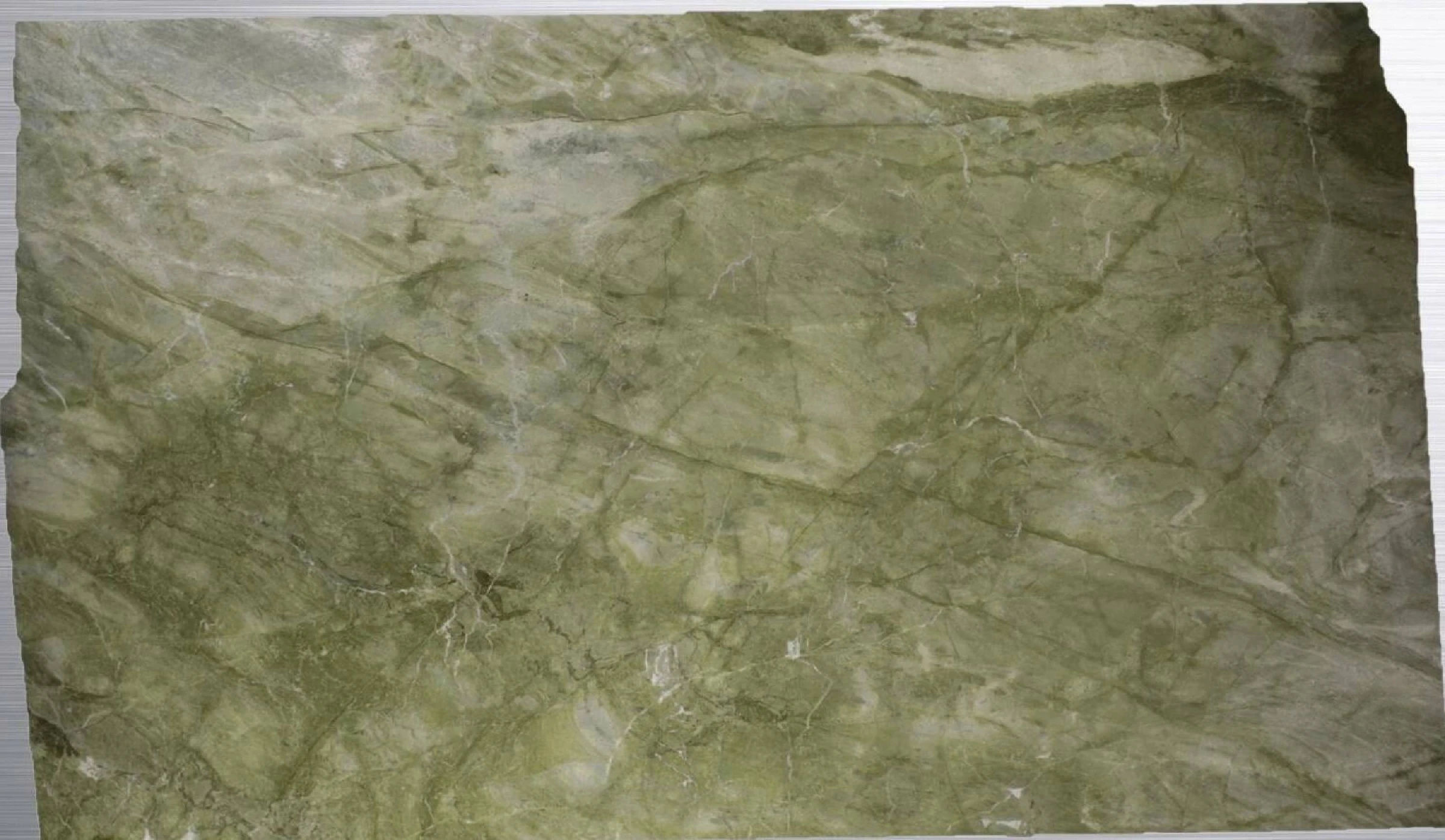 Alga Green Quartzite Slabs Supplier - 6767 - DDL