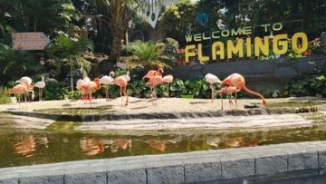 Eco Active Park: Petualangan Edukasi Lingkungan di Jantung Kota Batu