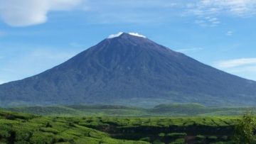 Wisata ke Provinsi Jambi: Menjelajahi Keindahan Alam dan Sejarah di Jantung Sumatera