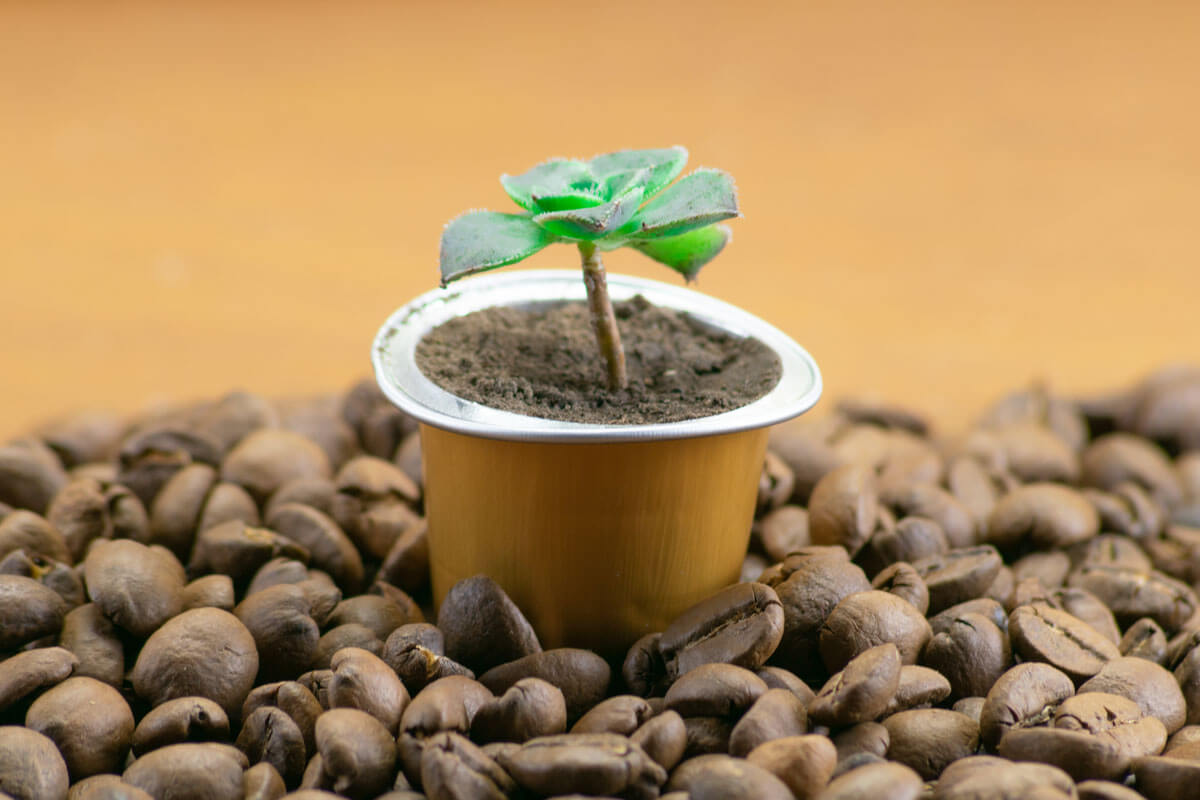 Featured image for: Creatief met gebruikte koffiecups