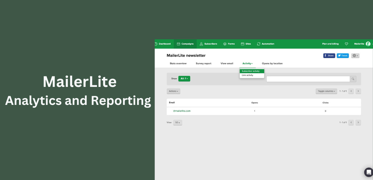 Mailchimp vs MailerLite A Comprehensive Guide DeBounce