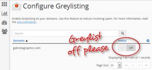 What is Anti-Greylisting Technology?