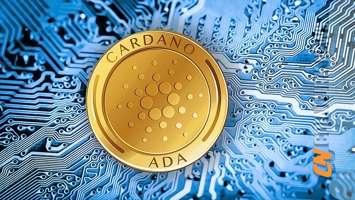 Cardano lanzó su propia stablecoin: ¿qué hay que tener en cuenta?