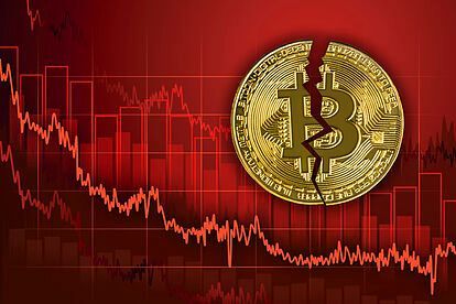 Bitcoin respira en medio de la tormenta