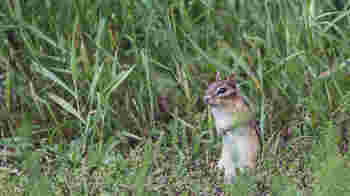 Sta je graag achter de bar bij een mooie filmavond?