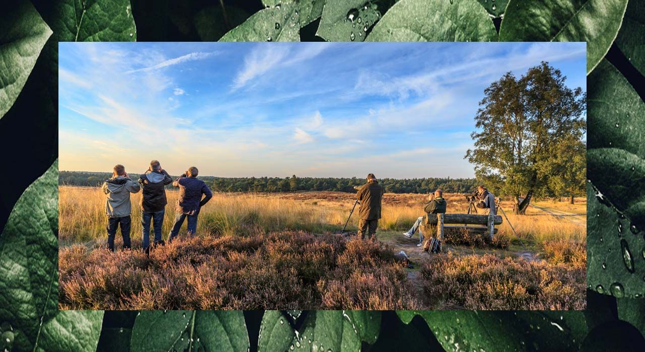 Samen op pad in de (digitale?) wildernis