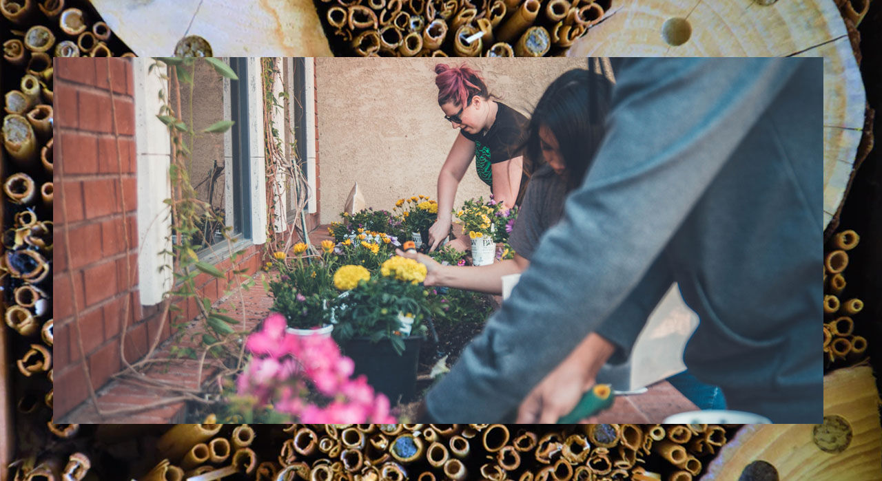 Greenteam van het Noorden - Achlum edition (canceled)