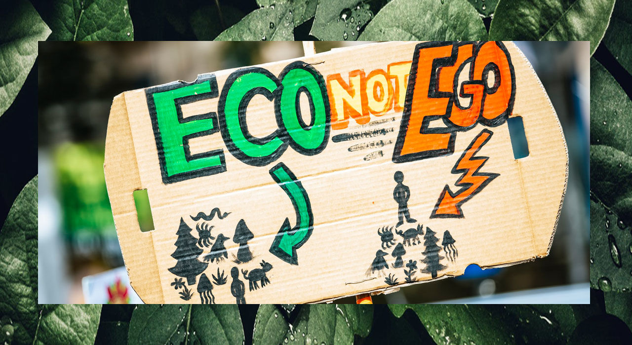 Looking for pillars for climate courses