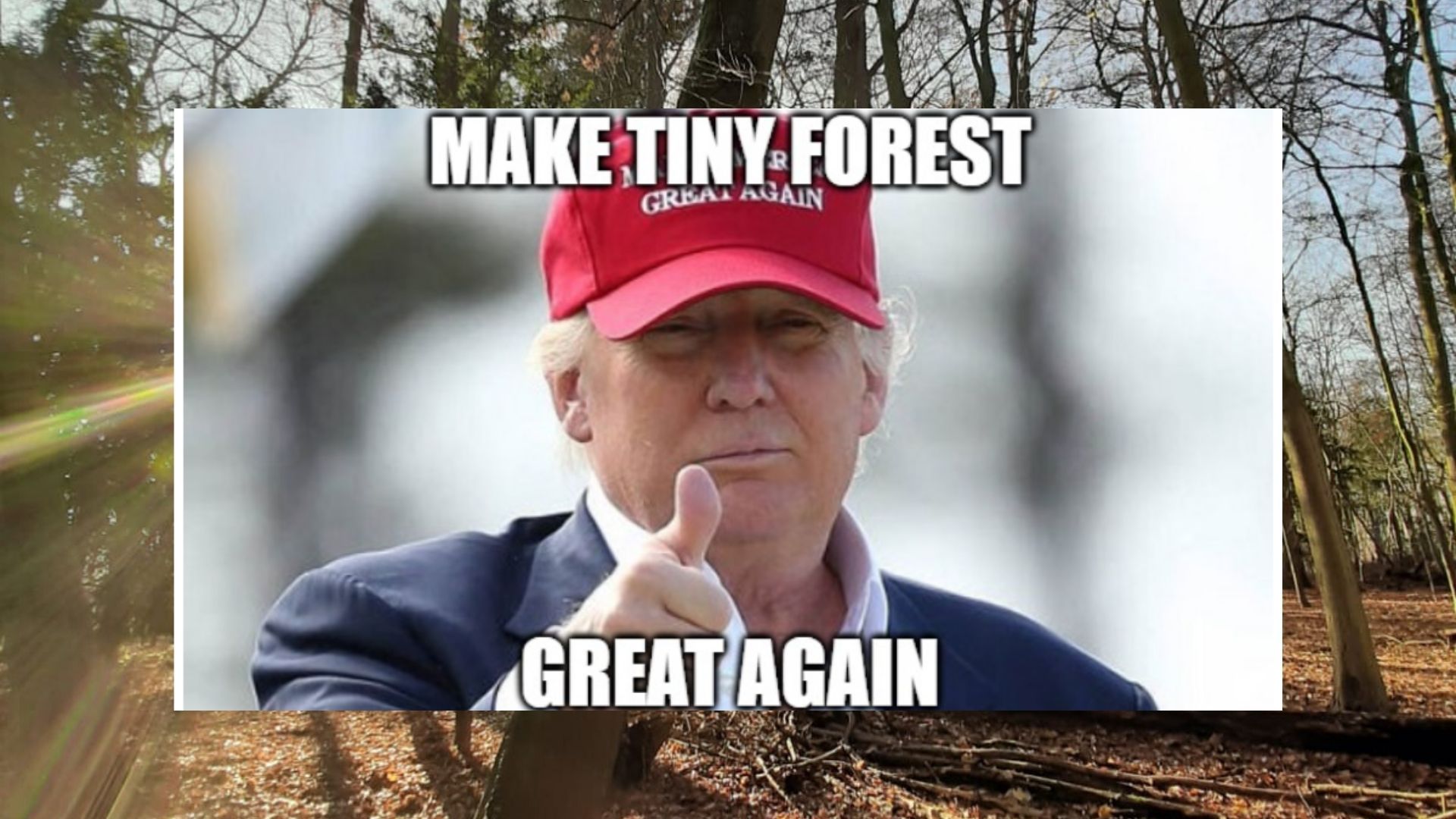 Community building in de Urban Jungle