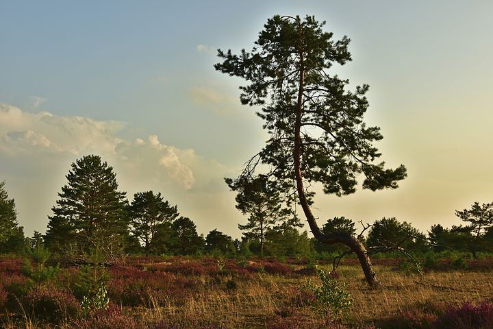 Fadi's (36 jr) moedertaal is Arabisch. Wilt u met hem wandelen of fietsen ?