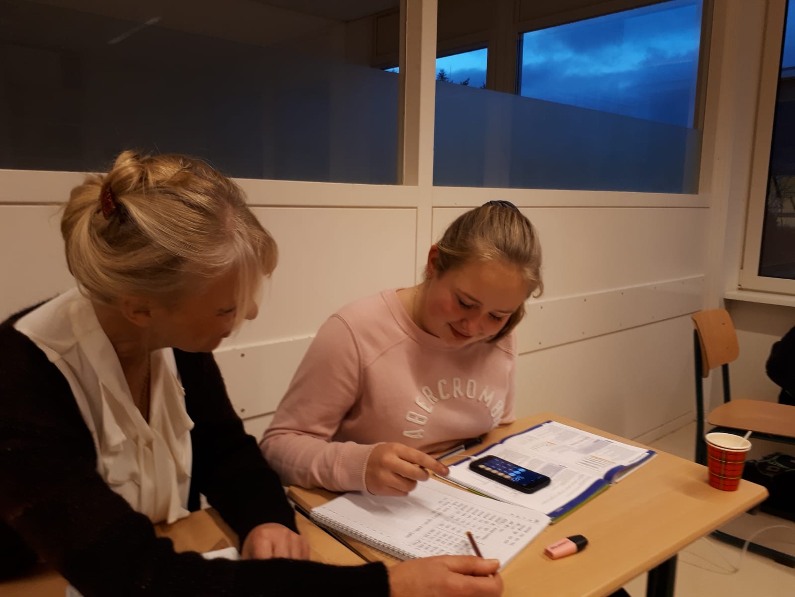 Begeleider leerlingen VO