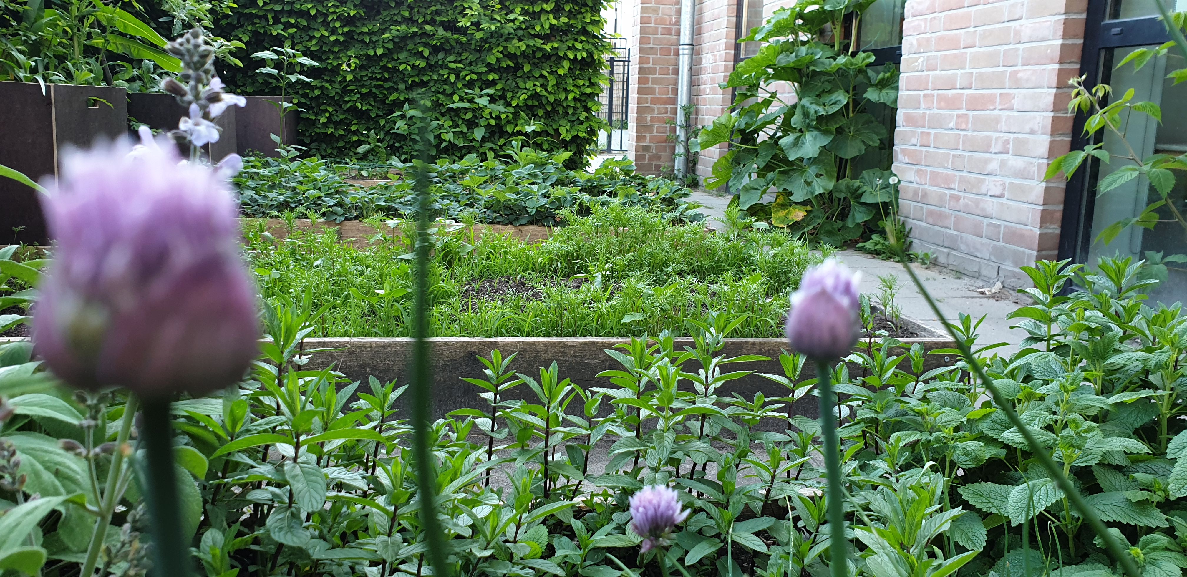 Word voorzitter bij de groenste, gezondste en gezelligste organisatie van H'sum!