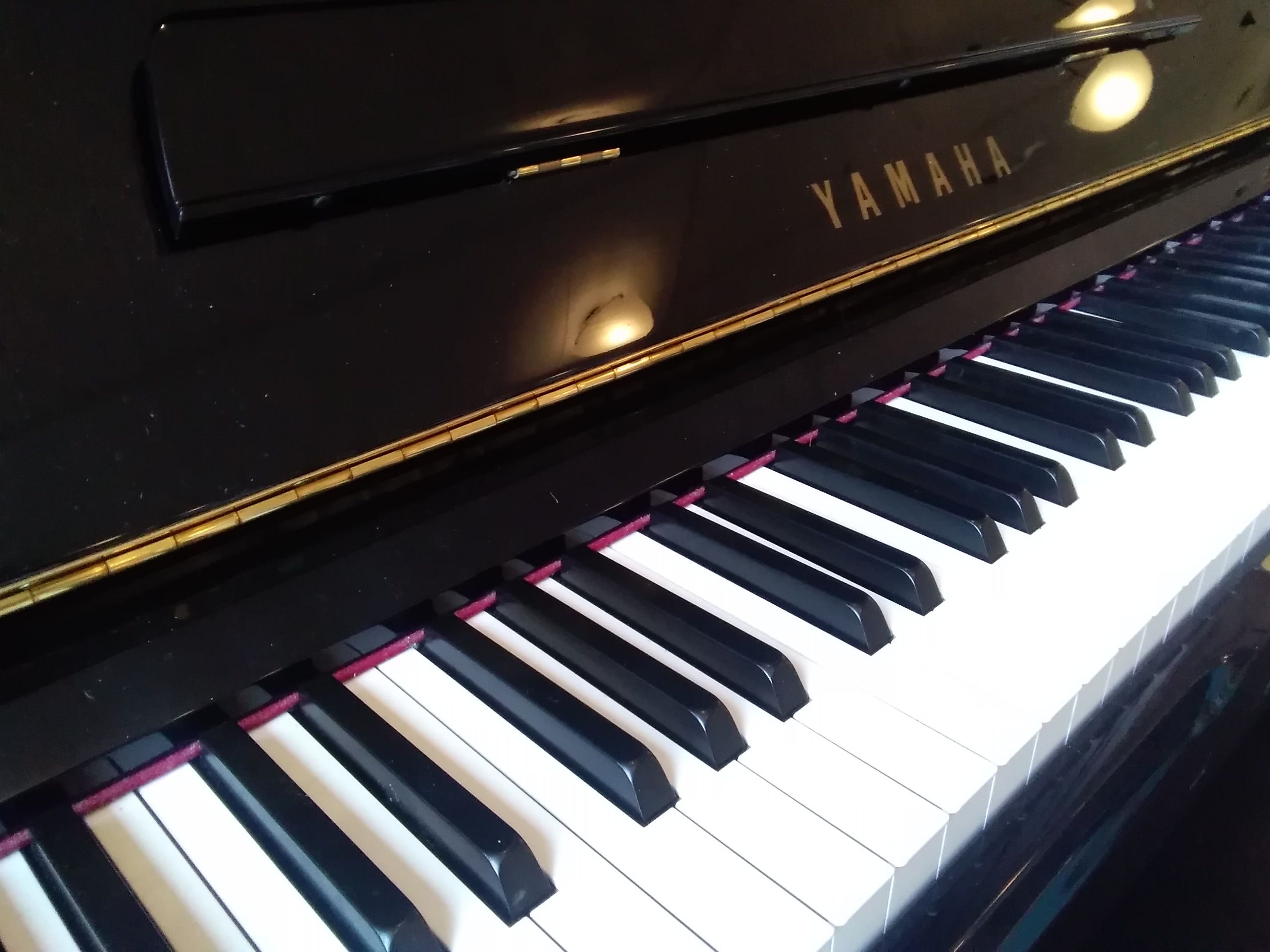 Ben jij een liefhebber van klassieke muziek? Onze bewoners ook!