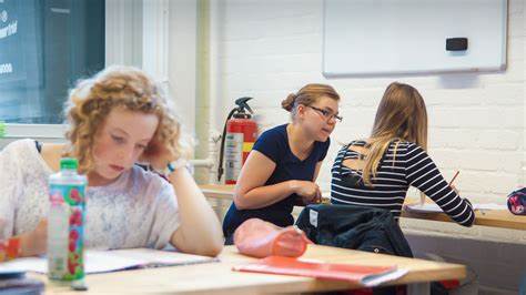 Begeleider leerlingen VO