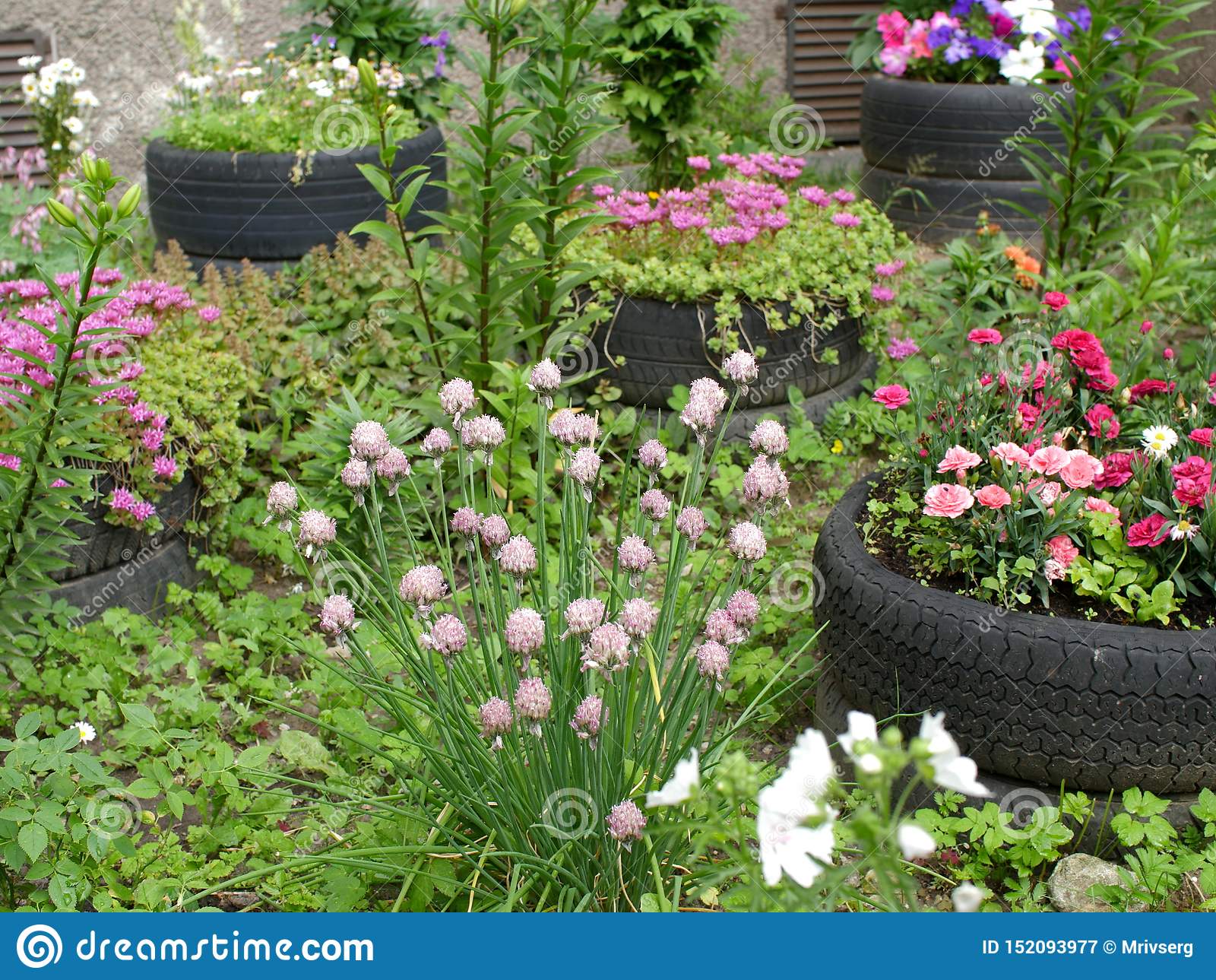 Vind jij het leuk om in de buitenlucht te werken?