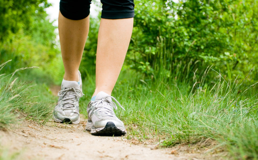 Houd jij van de buitenlucht en van wandelen?