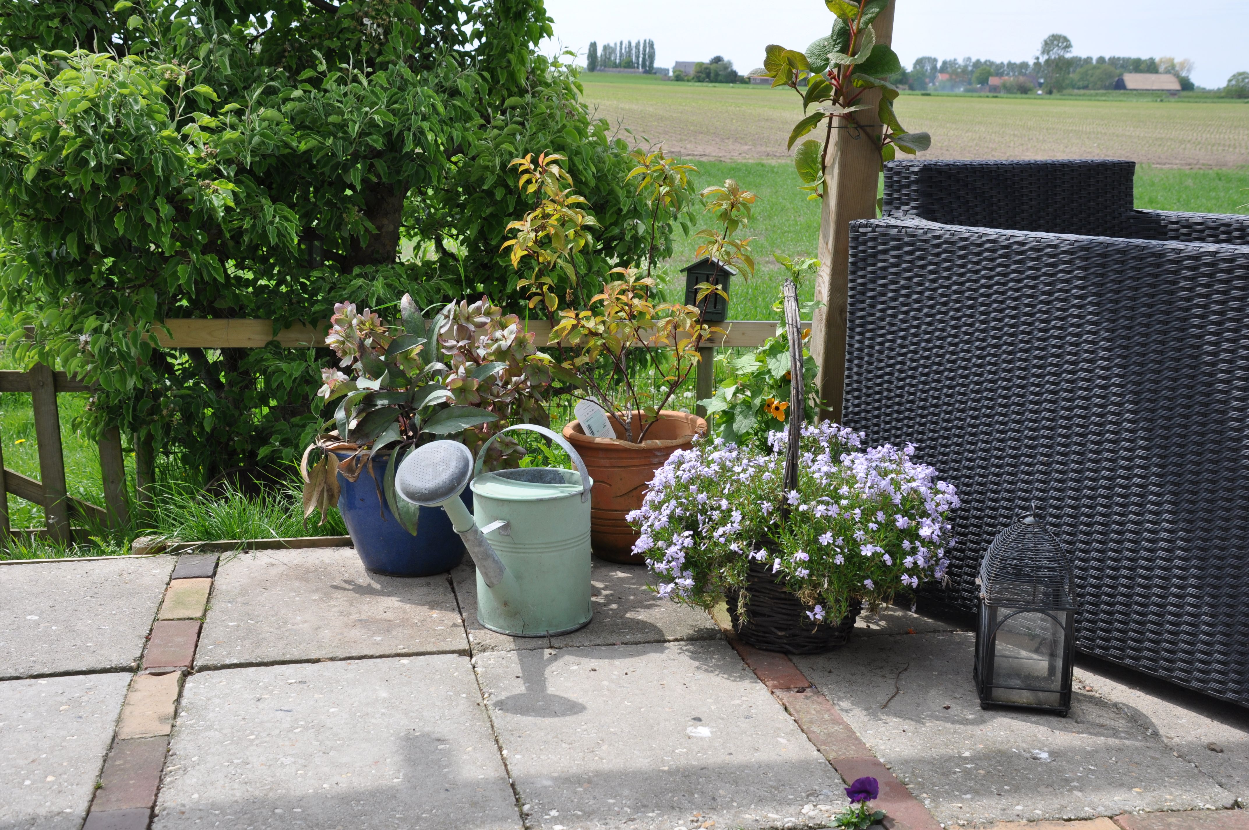 Heb jij groene vingers en wil je helpen een tuin op te knappen?