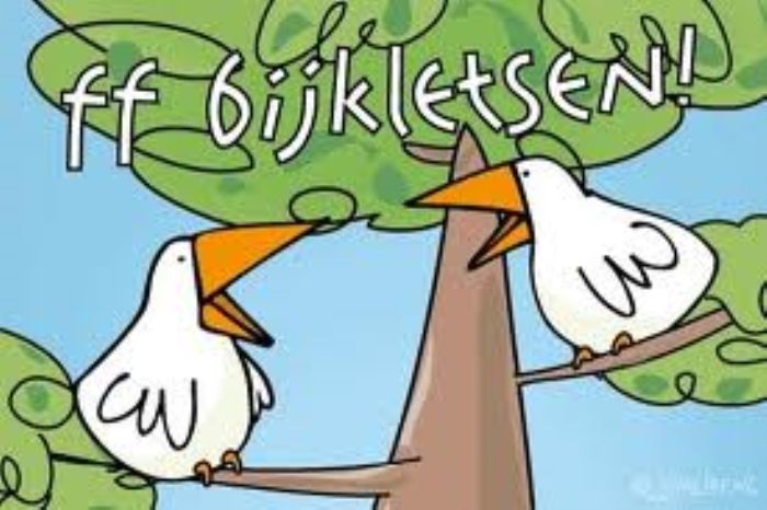 Houd jij ook van gezelligheid en leuke uitstapjes?