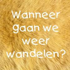 Vind jij het leuk om wat te kletsen met een oudere dame tijdens een wandeling?