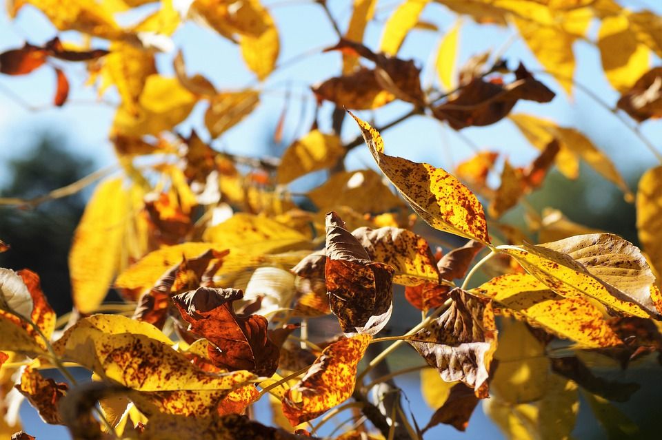 Hou jij van de buitenlucht en heb jij als hobby in de tuin te werken?