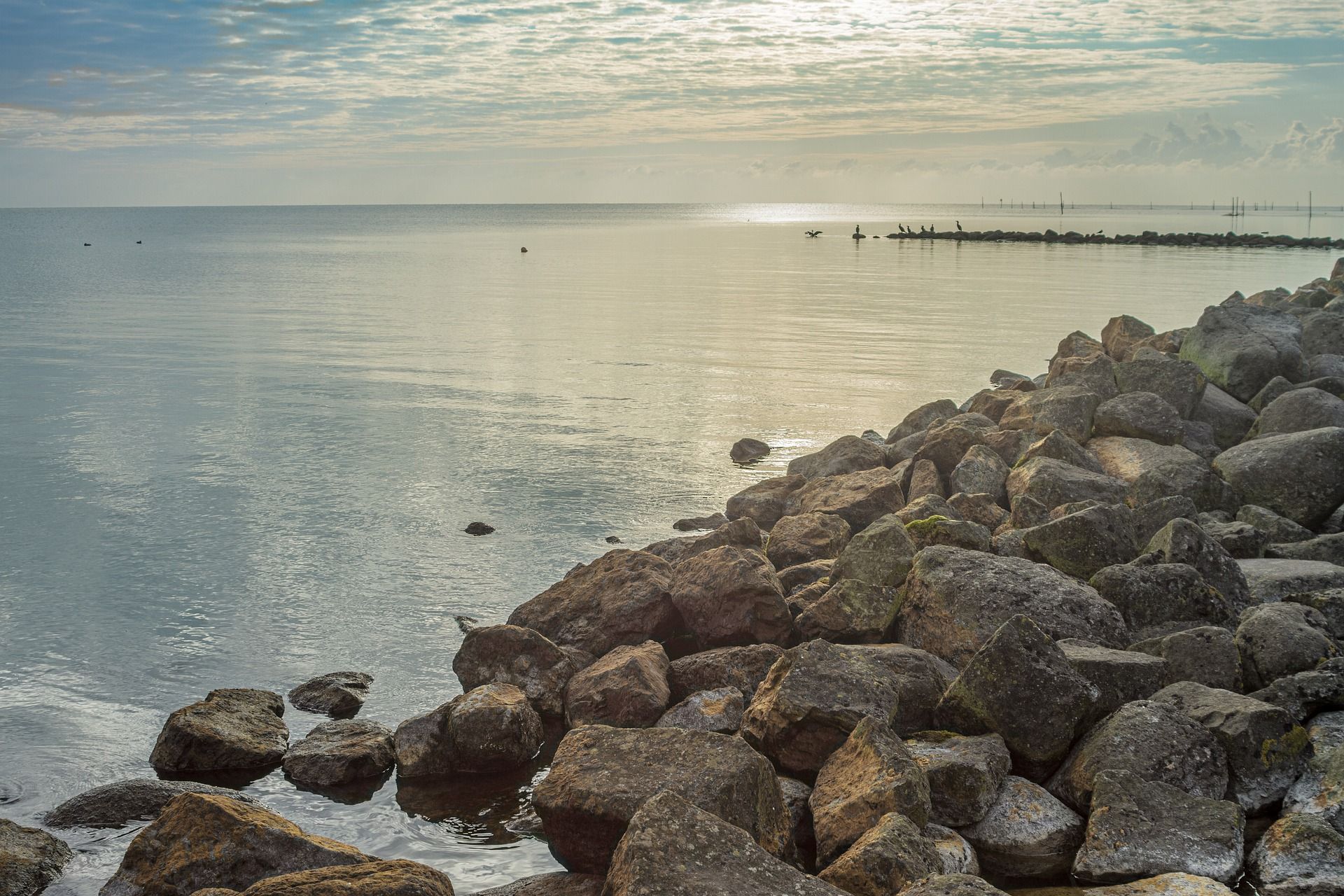 Zin om samen iets leuks te gaan doen?