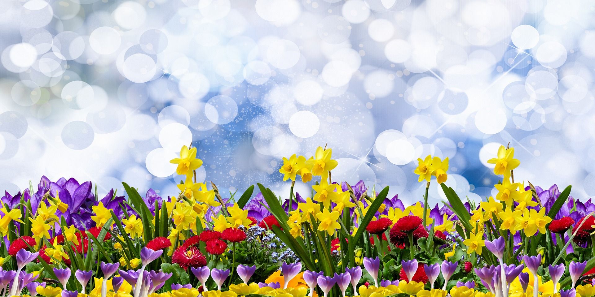 Heb jij groene vingers en twee rechterhanden?