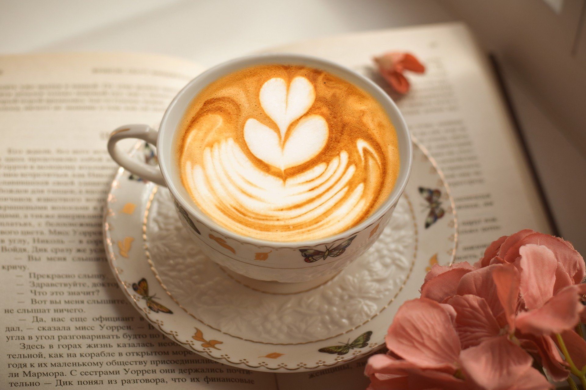 Houd jij ook van gezelligheid?