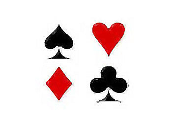 Gezelschap voor eenzame oudere dame uit Weesp