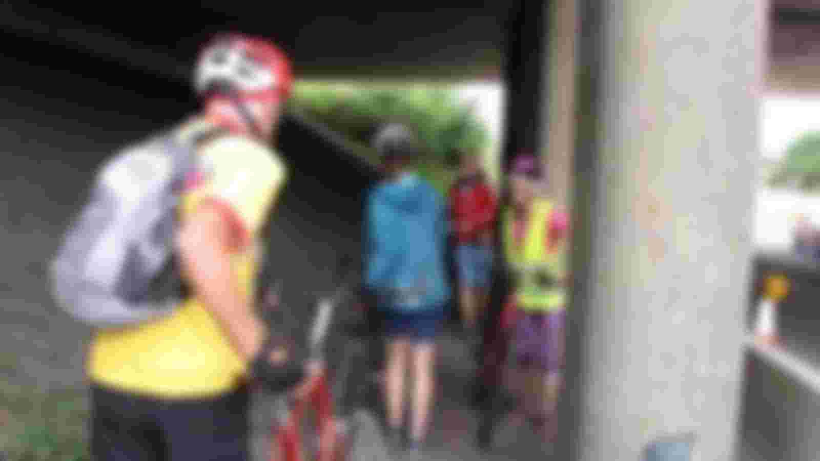 Social Media & Newsletter Volunteer