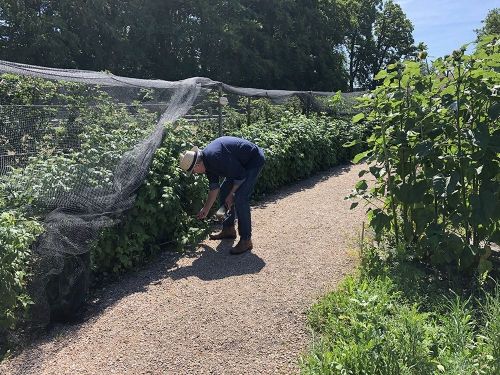 Groene vingers voor moes- en siertuin 