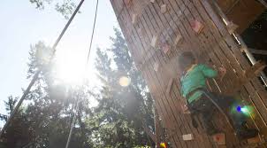 Activiteitenleid(st)er