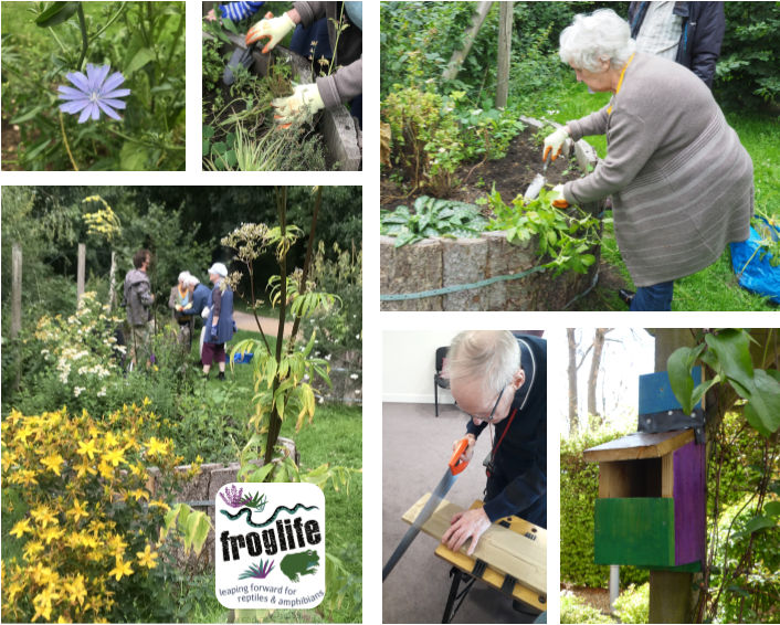 Nature & wildlife workshops for people with dementia - art, gardening & more!