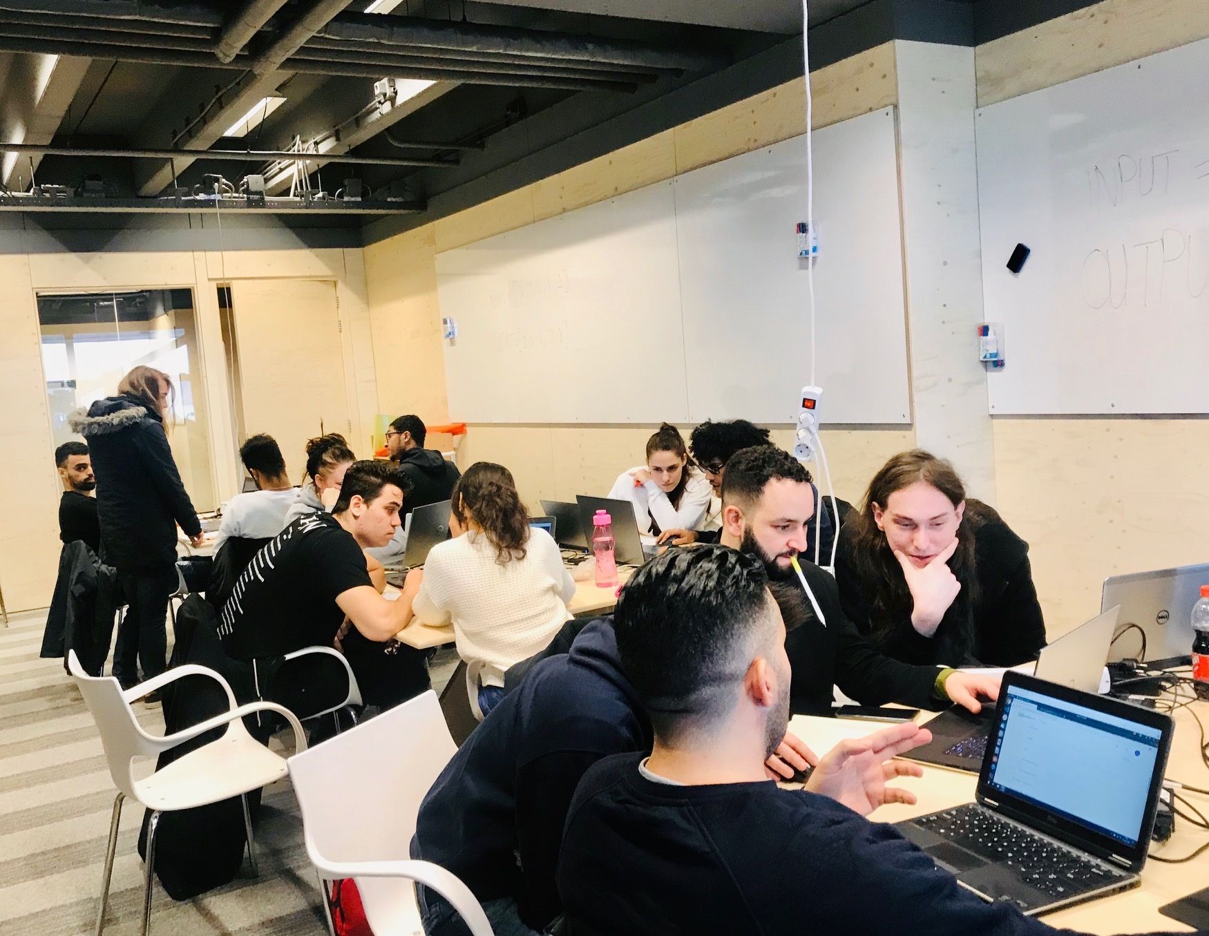 IT Lead developer coach