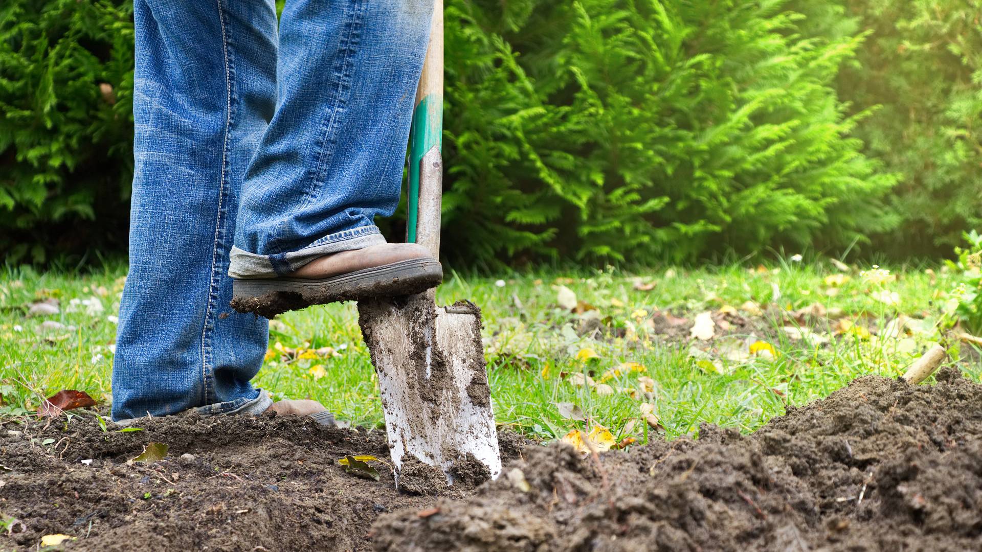 Vacature alert: Tuinman vrijwilliger gezocht!! 