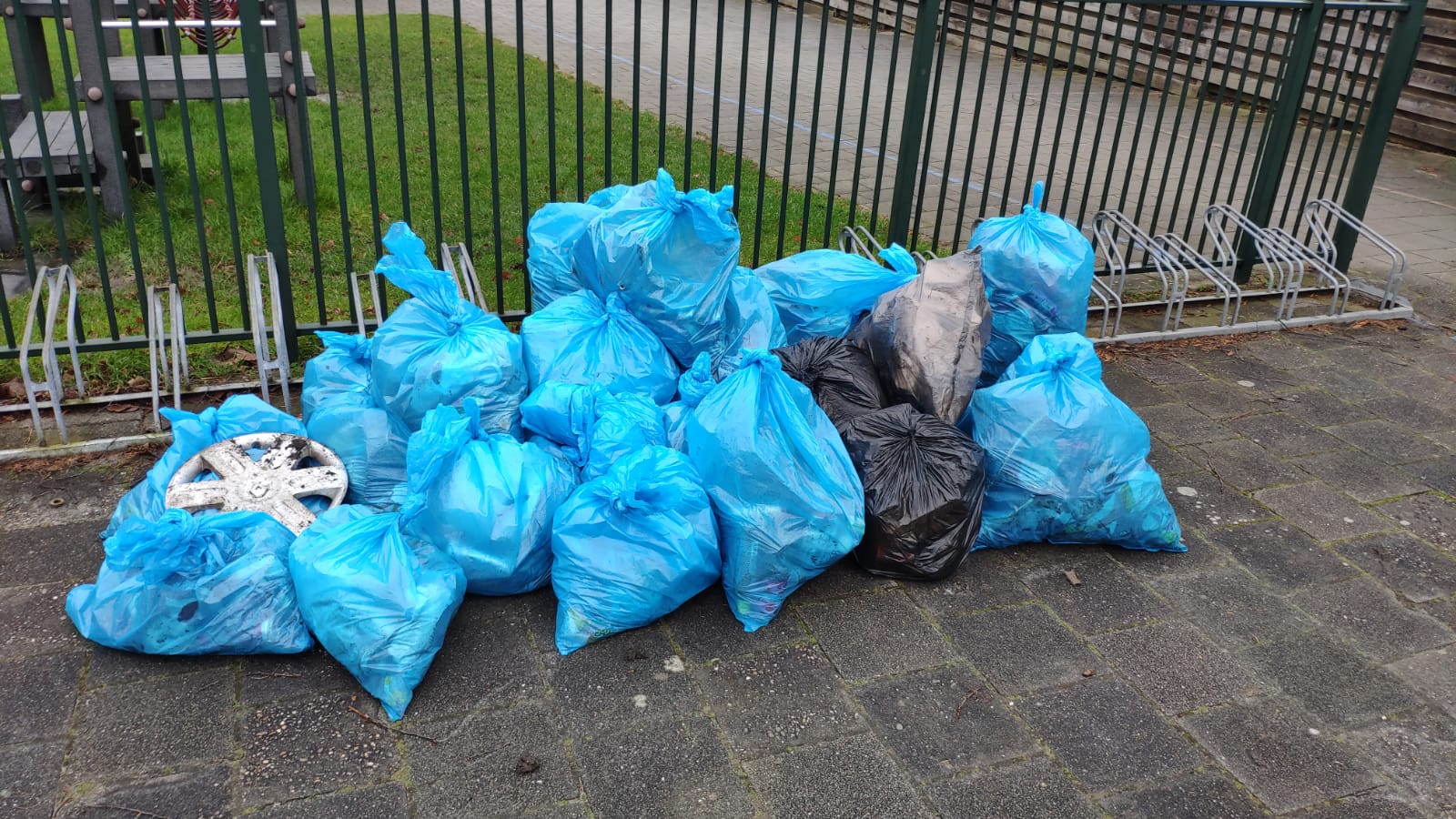 Coördinator zwerfafval-opruimacties