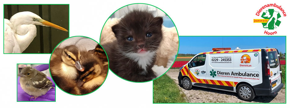 Bijrijder Dierenambulance Hoorn e.o.