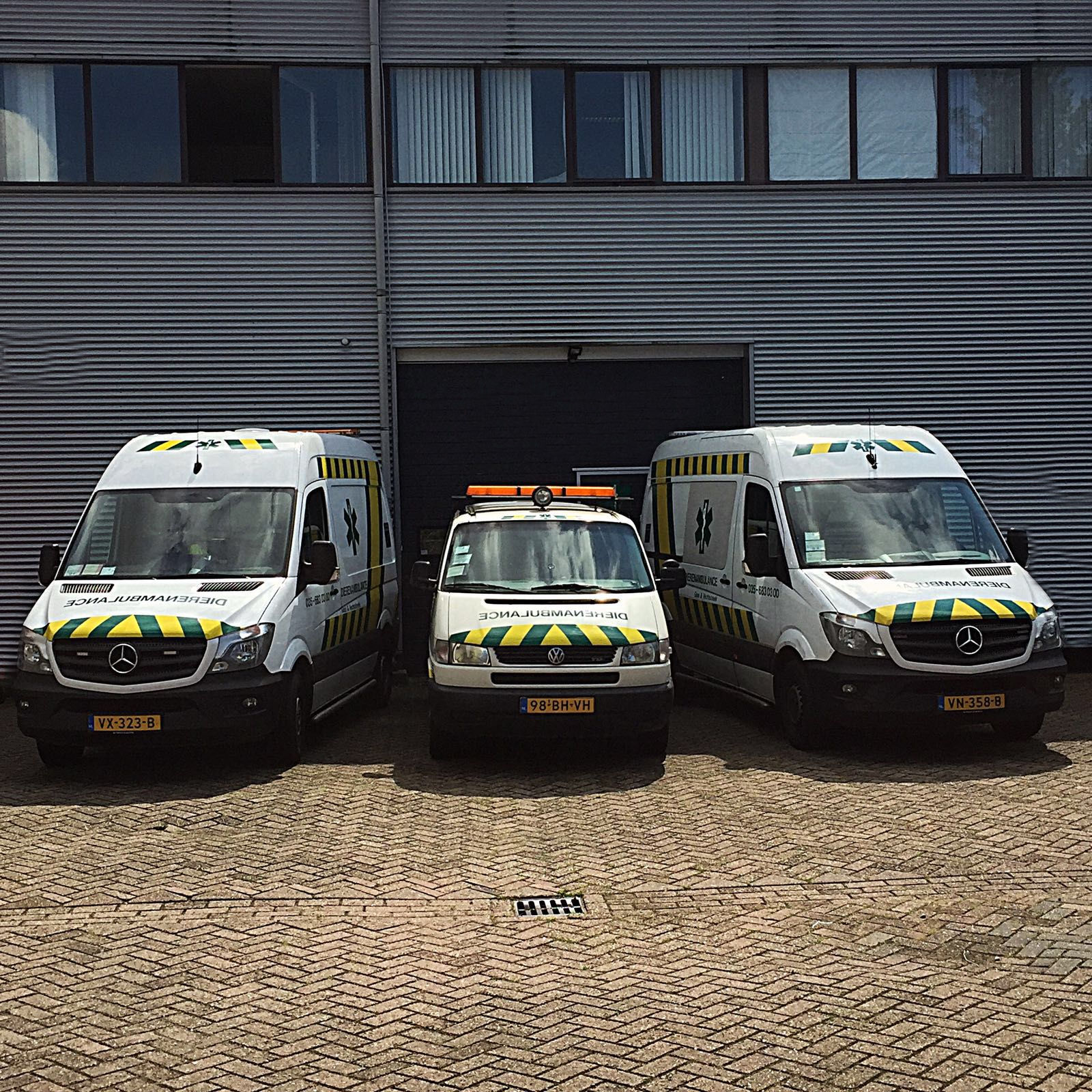 Bestuurslid/penningmeester