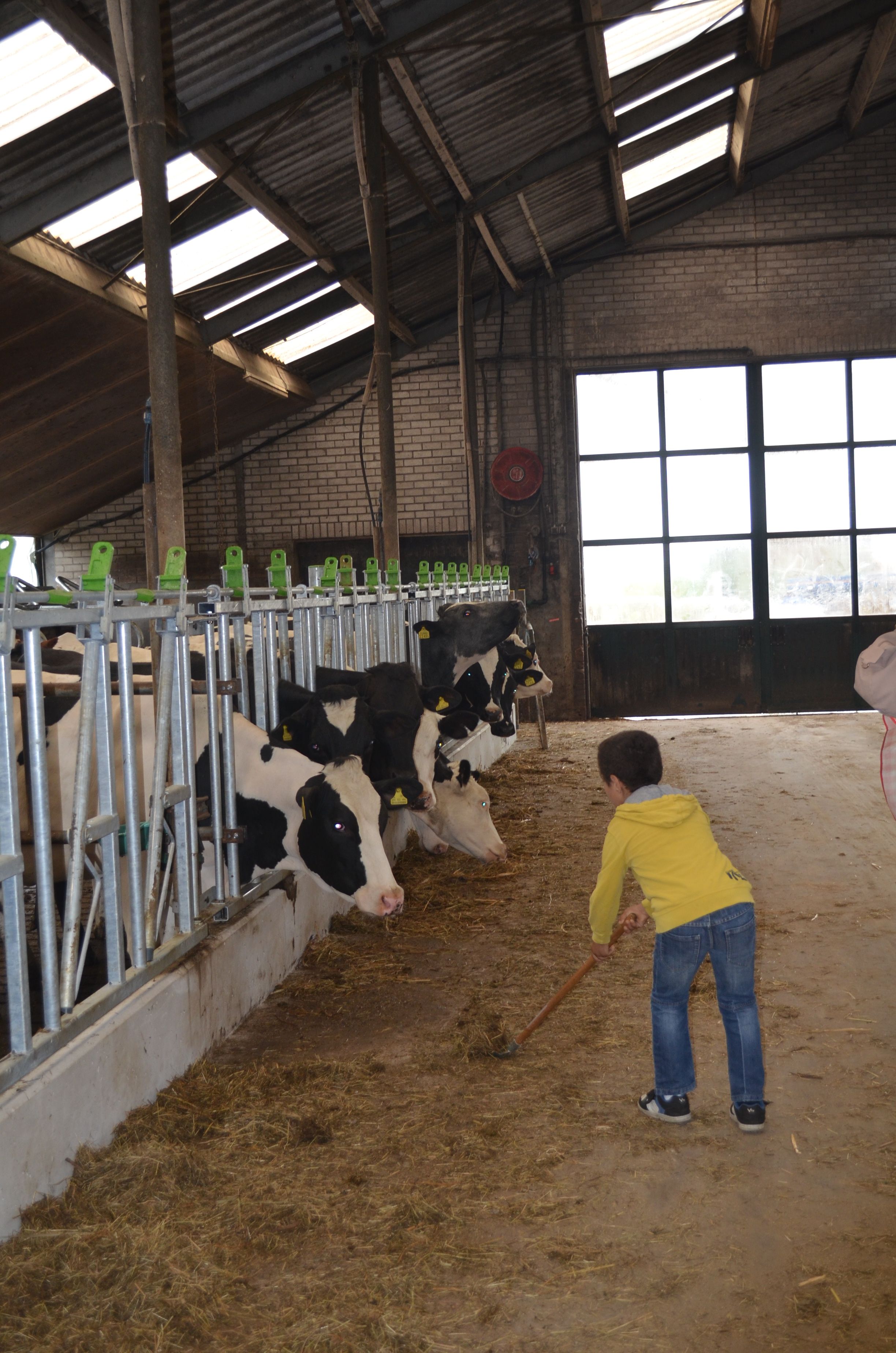 Mag beestengek Arjan (10) bij jullie komen als steungezin?