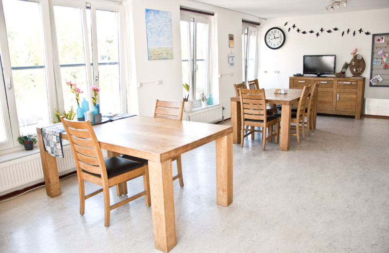 Een maatje voor de gezelligheid 