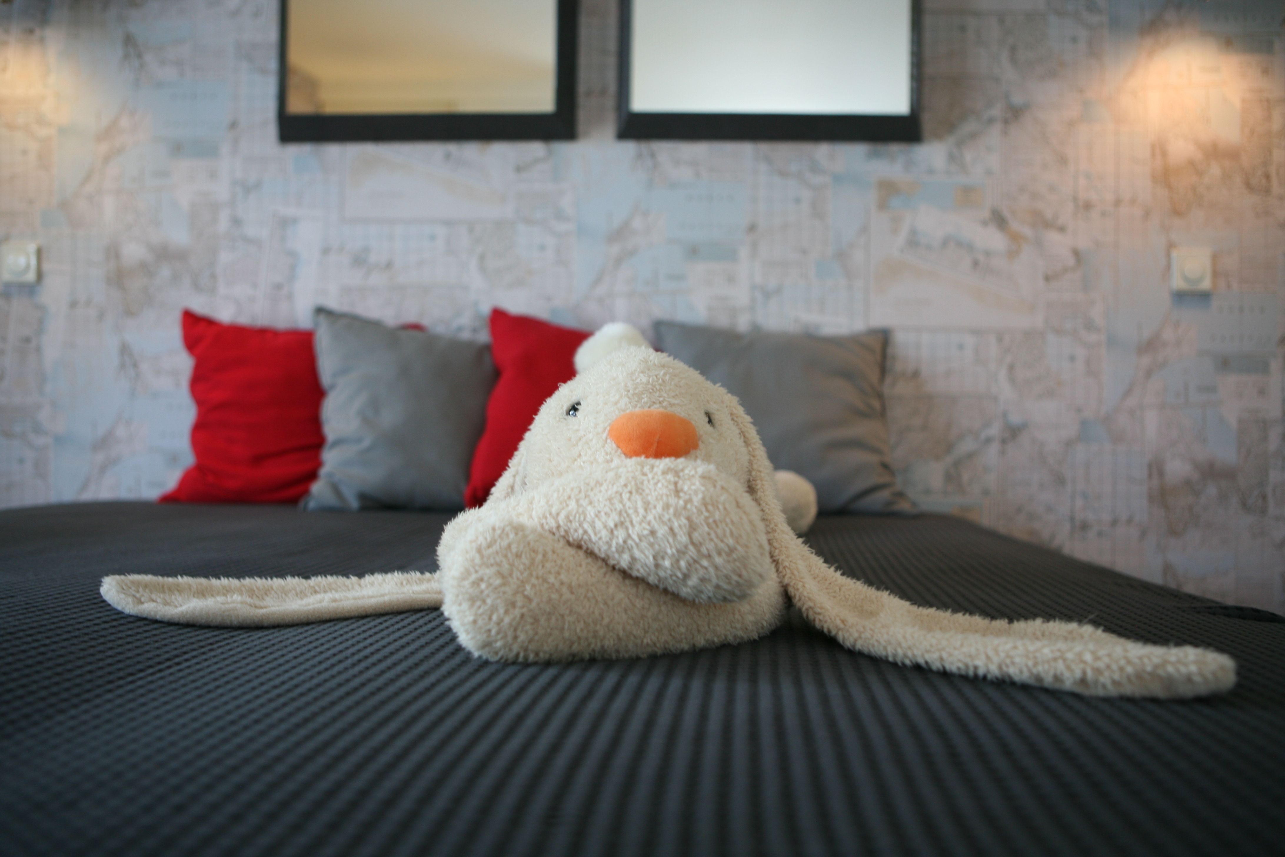 Vrijwillige Slaapwachten