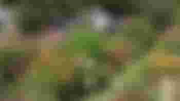 Klusser/hovenier voor de tuinderij gezocht