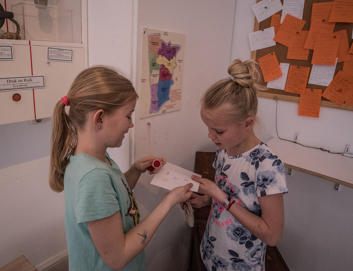 Begeleider schoolgroepen