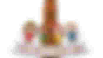 Speeltuin mee maker/vrijwilliger speeltuin De Kleine Dom voor het weekend