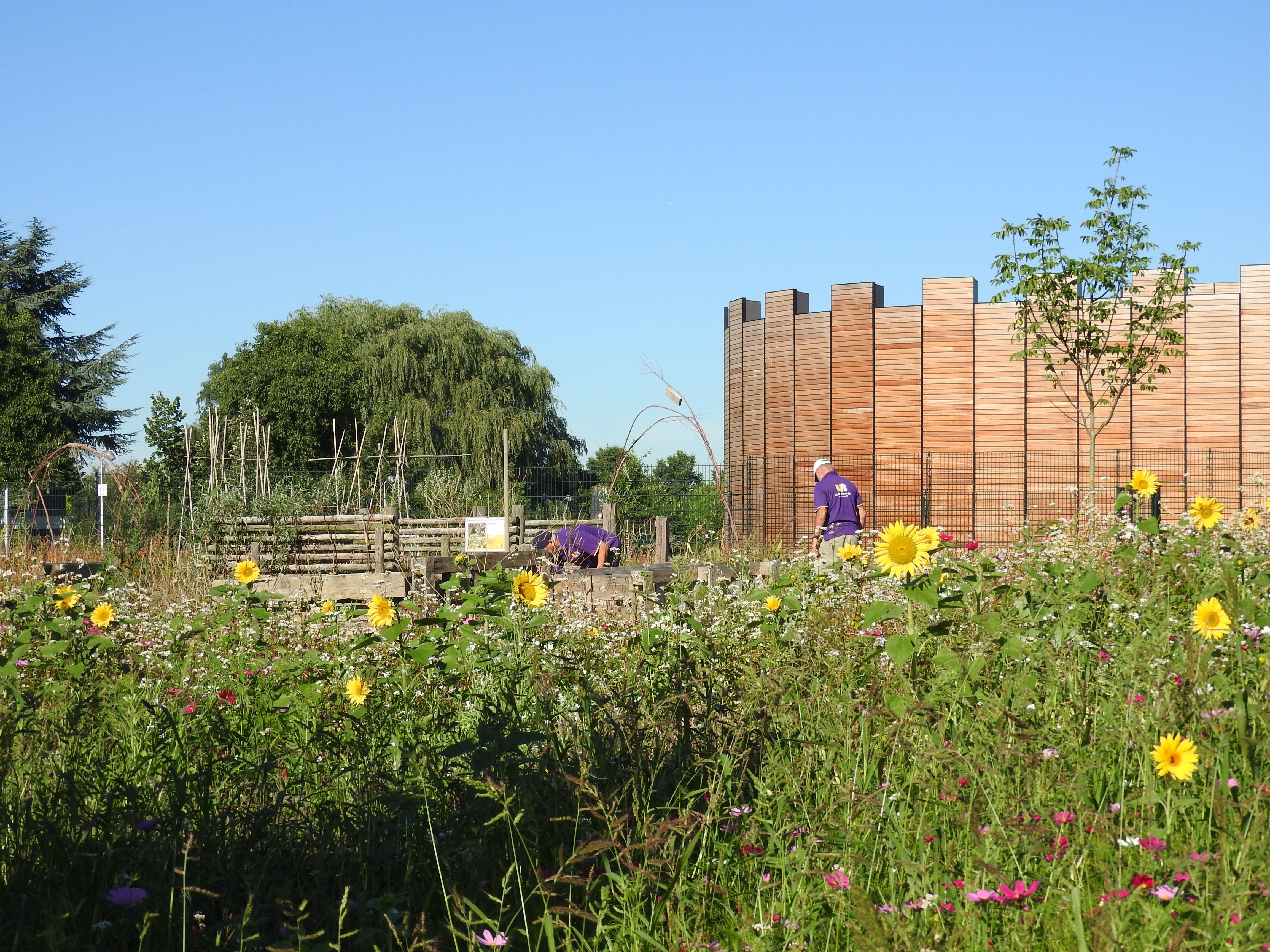 Help je mee in de tuin?