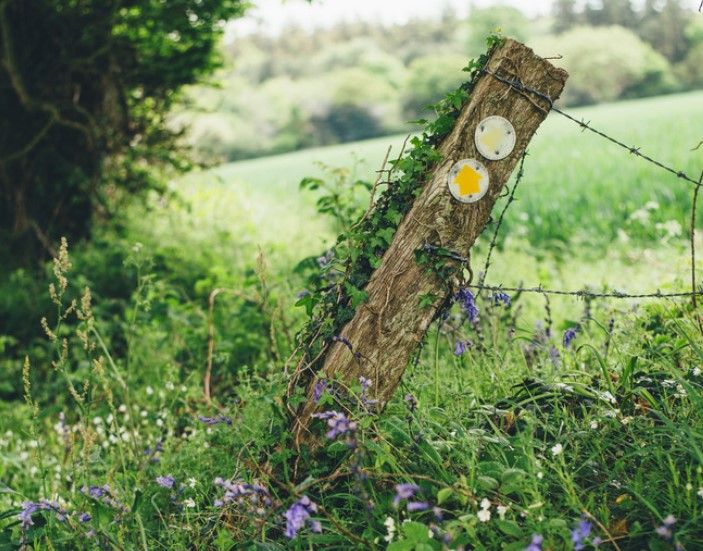 Parish Path Liaison Officer - various locations across Somerset