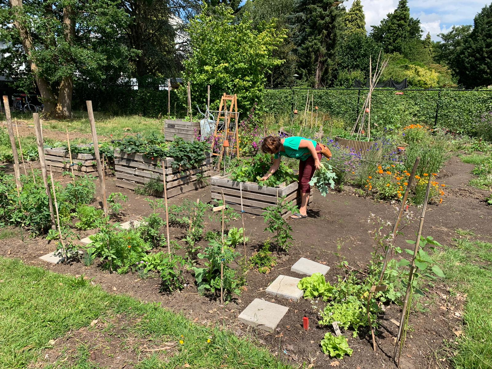 Groene vingers gezocht