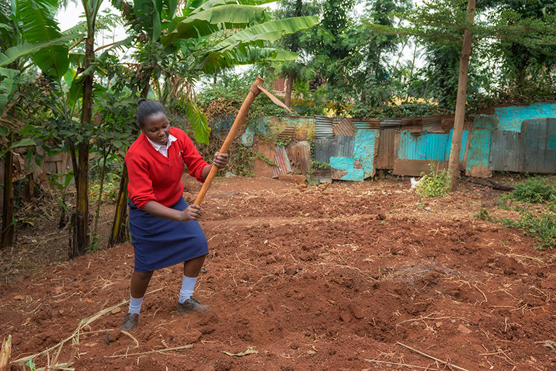 Ontwikkelaar lesmateriaal Landbouw