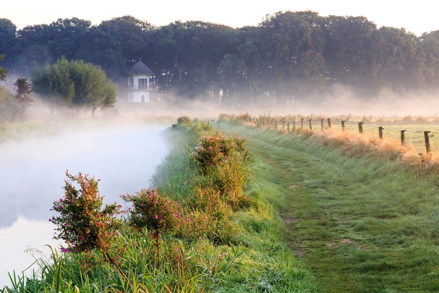 FULL! On the road together in the (digital) wilderness