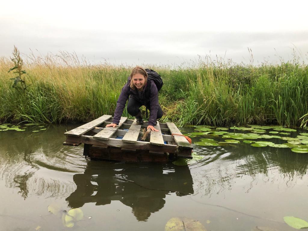 Looking for green storytellers!